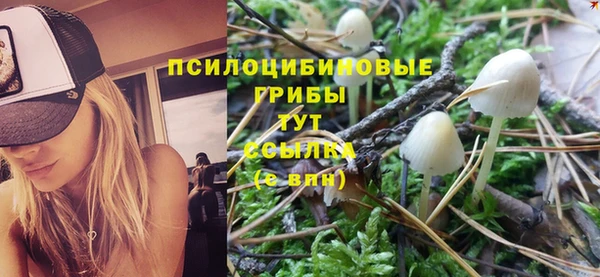 ПСИЛОЦИБИНОВЫЕ ГРИБЫ Аркадак