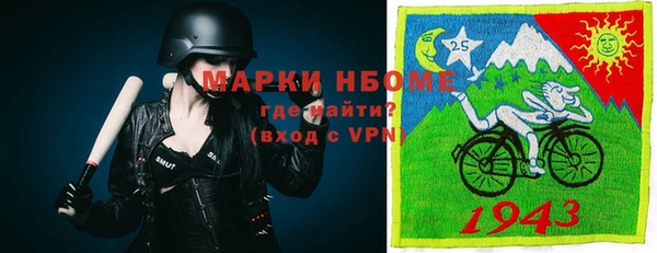 гашик Балахна
